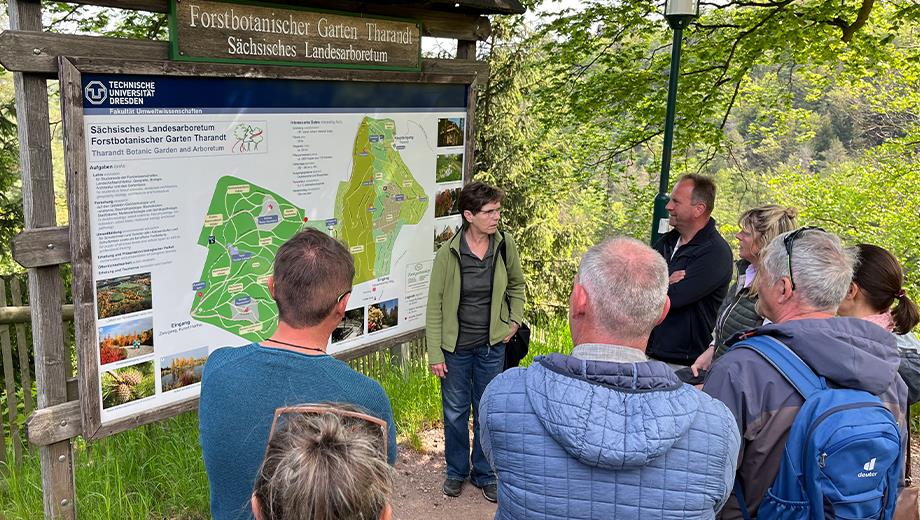 Folgetag Führung Forstbotanischer Garten Tharandt