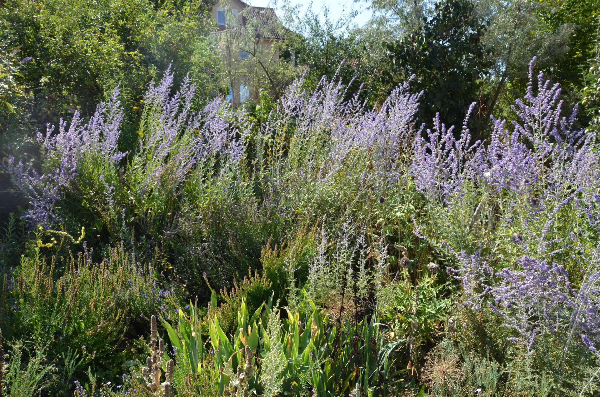 Biodiversität im Garten,- Landschafts- und Sportplatzbau