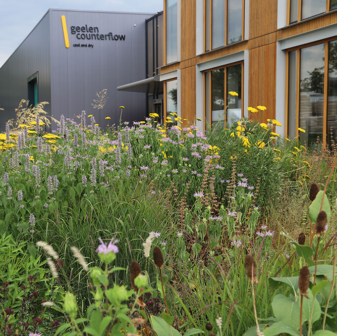 Naturnahe Gestaltung von Firmengrün