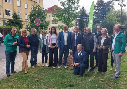 Gemeinsam Zukunft pflanzen: Mehr Stadtgrün in Dresden