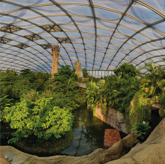 Blick ins Gondwanaland Leipzig