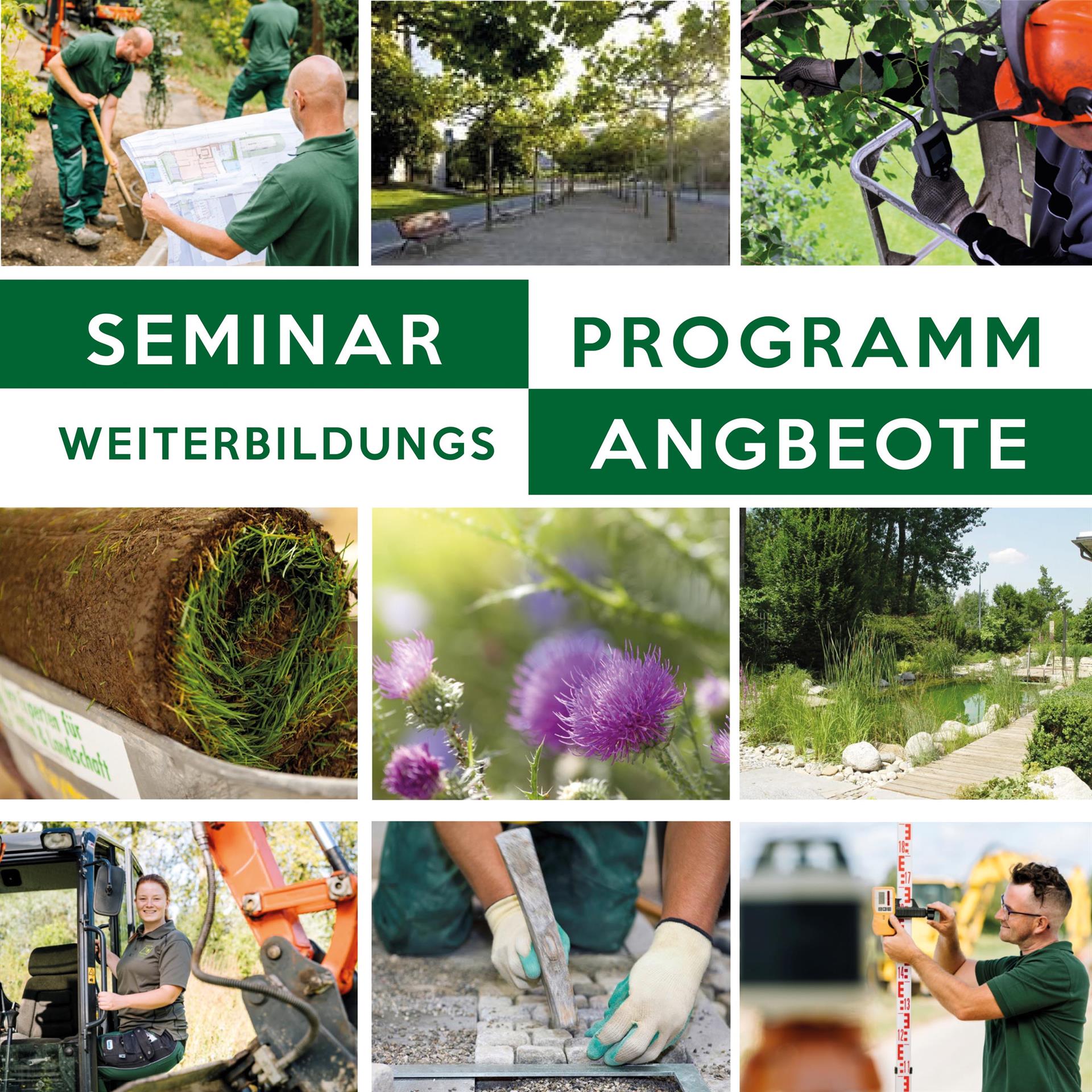 Seminarangebot VGL Sachsen